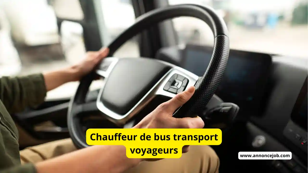 Chauffeur de bus transport voyageurs 2