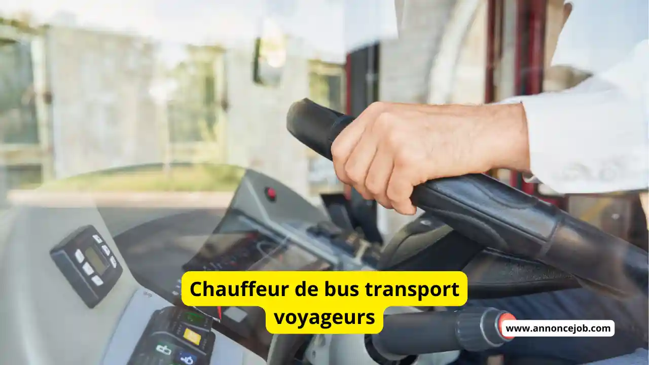 Chauffeur de bus transport voyageurs 1